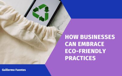 How Businesses Can Embrace Eco-Friendly Practices
